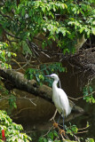 DSC_1765.jpg