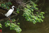 DSC_1770.jpg