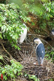 DSC_1780.jpg