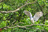 DSC_1783.jpg