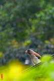 DSC_1926.jpg