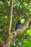 DSC_1791.jpg
