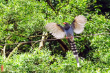 DSC_1920.jpg