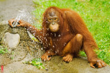 DSC_2325.jpg