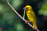 DSC_2875.jpg