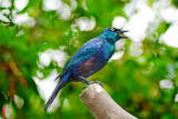 DSC_3139.jpg