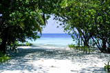 100-0042_IMG.jpg