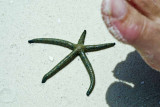 101-0138_IMG.jpg