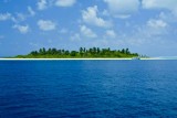 101-0151_IMG.jpg