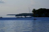 101-0190_IMG.jpg