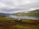 Scottish Highlands.jpg