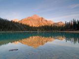 Cavell Lake