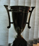 First Place Cup.JPG