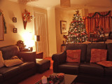 Our Christmas tree , we have two in our lounge , Wendy loves tress 2006