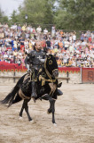 Festival Medieval de Hita - Torneo