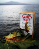 Flauberts Parrot