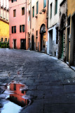 Fragments of Lucca in a puddle