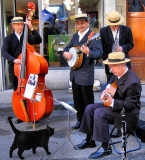 Cats love jazz...