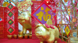 Welcoming the Year of the Pig (Boar)