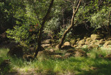 A Morning in the Park