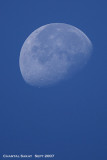 Day-Moon-3041.jpg
