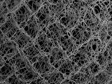 Neural Network