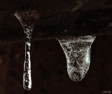 Mother Natures Etchings