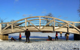 Bridge Encounter of the Underneath Kind