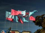 Carny Flags