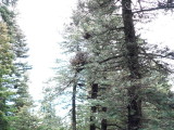 Pic026.jpg