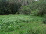 Pic054.jpg