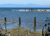 Roberts Creek on a sunny day