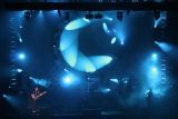 http://www.aussiefloyd.com