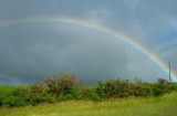 rainbow at Kula