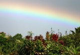 Hana highway -- rainbow