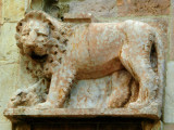 The Assisi Lion - number 1