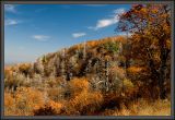 _DSC5101s1000.jpg
