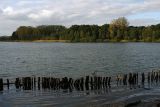 Turnhout (Belgium) - Natuurgebied 'De Melle'
