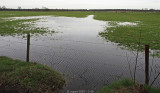 Turnhout KempenHoge Heide / Ravels Kamp