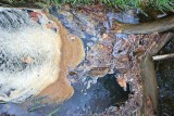 Turnhout KempenHoge Heide / Ravels Kamp