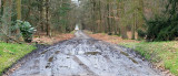 Turnhout KempenHoge Heide / Ravels Kamp