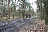 Turnhout KempenHoge Heide / Ravels Kamp