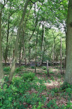Frans Segersreservaat (Turnhout)