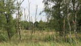 Frans Segersreservaat (Turnhout)