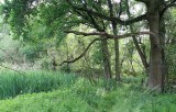 Frans Segersreservaat (Turnhout)