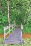 Natuurrerservaat Winkelsbroek-De Dongen