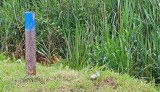 Natuurrerservaat Winkelsbroek-De Dongen