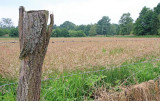 Natuurrerservaat Winkelsbroek-De Dongen