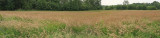 Natuurrerservaat Winkelsbroek-De Dongen