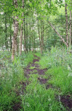 Natuurrerservaat Winkelsbroek-De Dongen